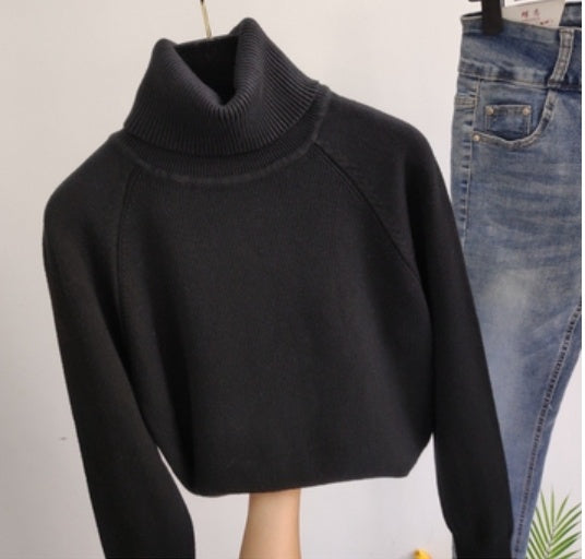 Loose turtleneck blouse