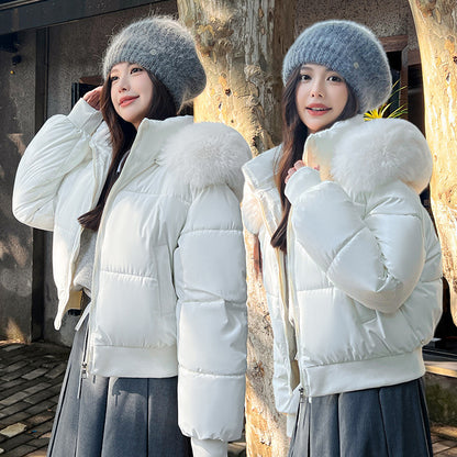 Big Fur Collar Hooded Thickened Warm And Loose Coat