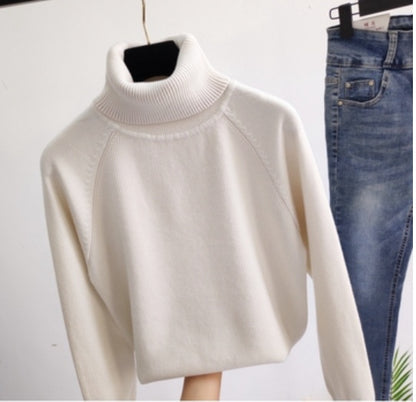 Loose turtleneck blouse